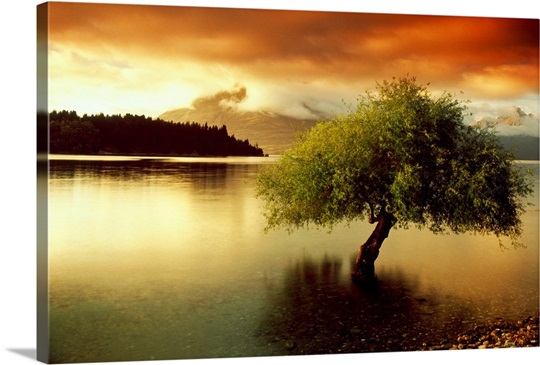 South Island New Zealand
