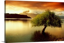 South Island New Zealand