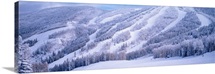 Steamboat Ski Area in the Rocky Mountains Steamboat Springs CO