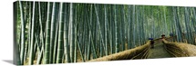 Stepped walkway passing through a bamboo forest, Arashiyama, Kyoto Prefecture, Kinki Region, Honshu, Japan