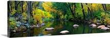 Stream Cottonwood Canyon AZ