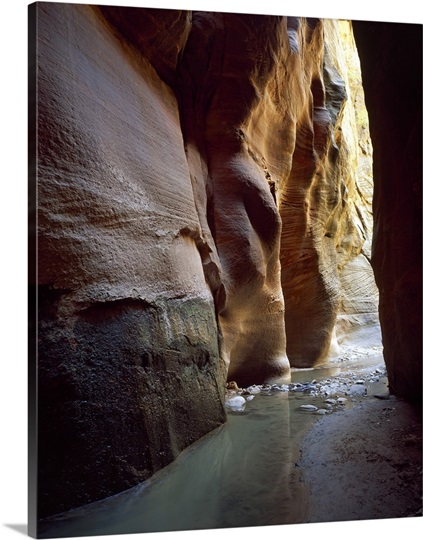 Stream flowing through a slot canyon, Orderville Canyon, Zion National Park, Utah,