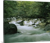 Stream passing through a rainforest, Costa Rica