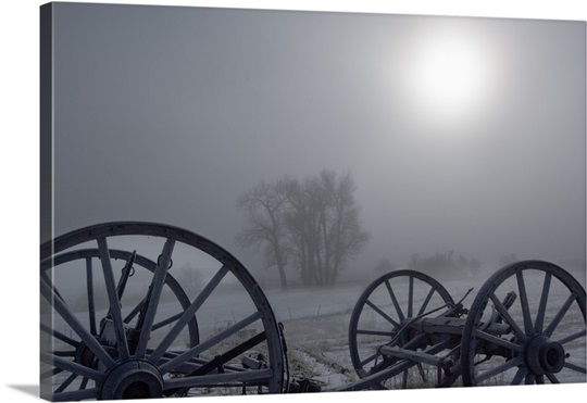 ... through heavy fog, silhouet...