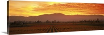 Sunset Napa Valley CA