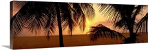 Sunset on 7-Mile Beach, Negril, Jamaica