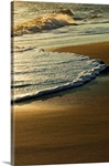 Surf on sandy beach, sunrise light, Outer Banks, North Carolina