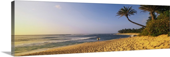 Surfer on Beach HI