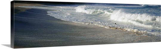 Surfer With Crashing Waves on Beach Waimea Bay HI