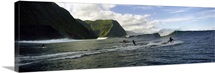 Surfers in the sea, Hawaii,