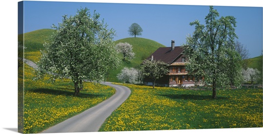 Switzerland, Zug, road 
