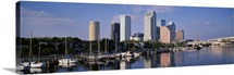 Tampa Fl