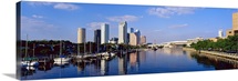 Tampa FL