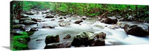 Tennessee, Great Smoky Mountains National Park, Little Pigeon River, View of water flowing over rocks