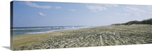 Tire tracks on the beach, Cape Hatteras, Outer Banks, North Carolina