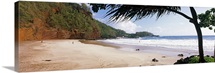 Tree on the beach, Lelekea Beach, Hana, Maui, Hawaii