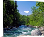 Trees and rocks along clear mountain stream, spring, Alaska