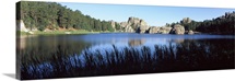 Trees around the lake, Sylvan Lake, Black Hills, Custer State Park, Custer County, South Dakota,