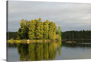 agnes boundary waters wilderness canoe reflection minnesota growing trees lake island area water