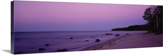 Trees on a beach, Union Bay, Lake Superior, Upper Peninsula, Silver City, Michigan