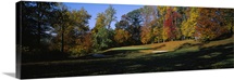 Trees on a golf course, Hercules Country Club, Wilmington, Delaware