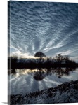 Trees &amp; Sky River Earn Tayside Scotland