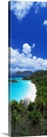 Trunk Bay St John US Virgin Islands