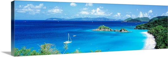 Trunk Bay St John Virgin Is West Indies 