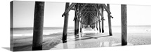 Under Wooden Pier NC
