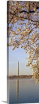 Washington DC