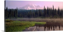 Washington, Mount Rainier National Park