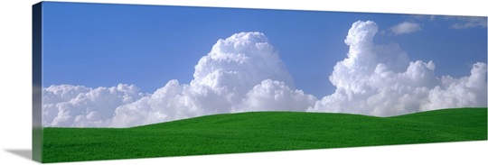 Washington, Palouse, wheat and clouds