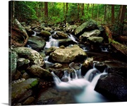 Water cascading over rocks, LeConte Creek, Great Smoky Mountains National Park, Tennessee