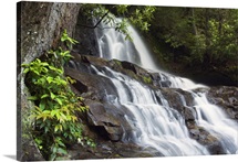Water cascading over rocky cliffs, Laurel Creek Falls, Great Smoky Mountains National Park, Tennessee