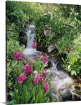 Waterfall CO