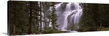 Waterfall in a forest, Banff, Alberta, Canada