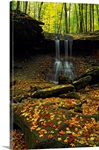 Waterfall in a forest, Blue Hen Falls, Cuyahoga Valley National Park, Ohio