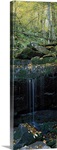 Waterfall in a forest, Great Smoky Mountains National Park, North Carolina,