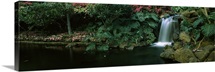 Waterfall in a forest, Lanai, Maui, Hawaii