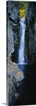 Waterfall in a forest, Moultonborough, Carroll County, New Hampshire