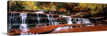 Waterfall in a forest, North Creek, Zion National Park, Utah