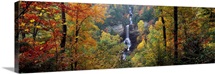 Waterfall in a forest, Raven Cliff Falls, Sumter National Forest, Greenville County, South Carolina