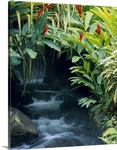 Waterfall in a forest, Tabacon, Costa Rica