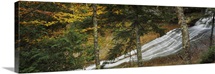 Waterfall in the forest, Laughing Whitefish Falls, Upper Peninsula, Michigan