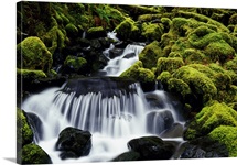 Waterfall over mossy rocks, Olympic National Park, Washington, united states,