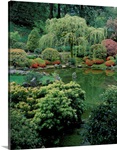 Weeping willow tree and pond in a Japanese Garden, Washington Park, Portland, Oregon