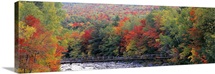 White Mountain National Forest NH
