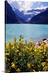 Wildflowers in bloom, Lake Louise, Alberta, Canada.