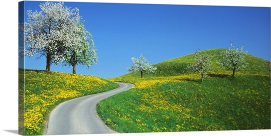 Winding Road Canton Switzerland