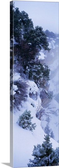 Winter Snow Storm Grand Canyon Rim AZ